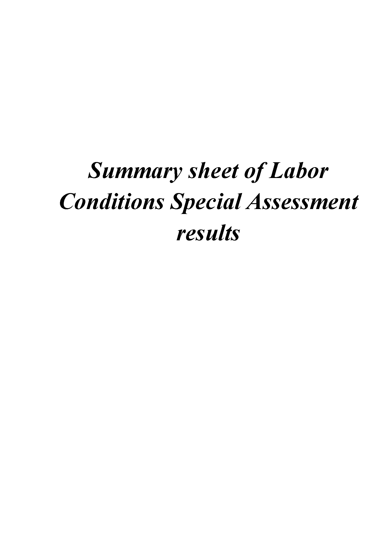 Summary sheet of Labor Conditions Special Assessment results