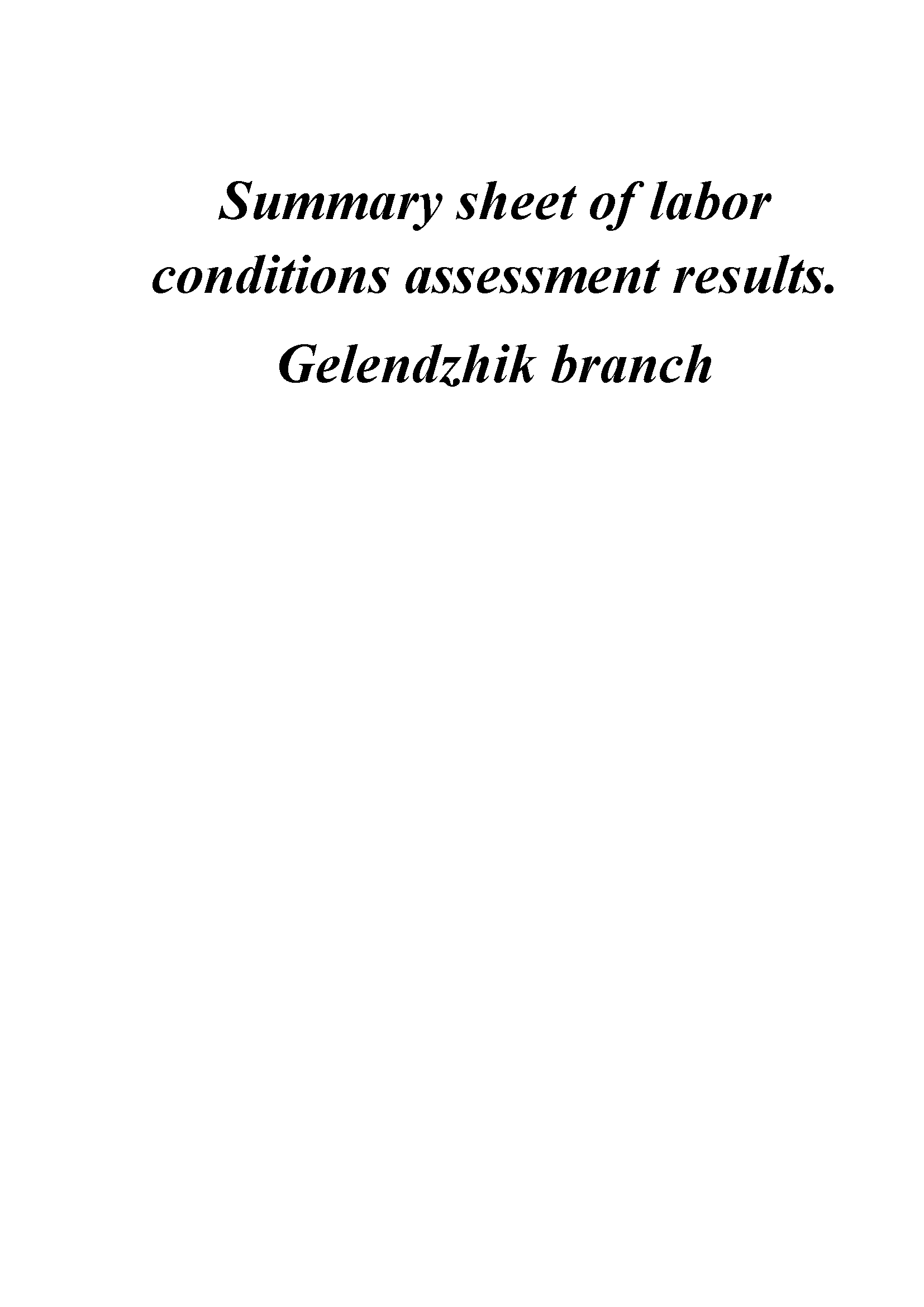 Summary sheet of Labor Conditions Special Assessment results. Gelendzhik